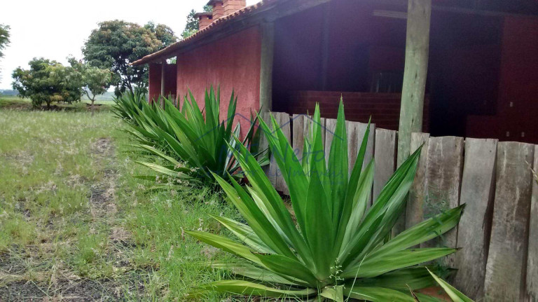 Imagem Fazenda à Venda, 8.400 m² em Zona Rural - Tambaú Imagem Fazenda à Venda, 8.400 m² em Zona Rural - Tambaú