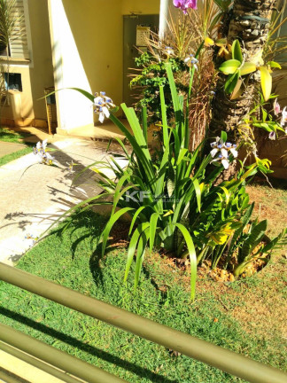 Imagem Apartamento com 2 Quartos à Venda, 47 m² em Ribeirânia - Ribeirão Preto Imagem Apartamento com 2 Quartos à Venda, 47 m² em Ribeirânia - Ribeirão Preto