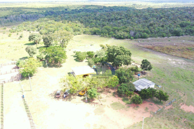 Imagem Fazenda à Venda, 10.210.000 m² em Centro - Ribas Do Rio Pardo Imagem Fazenda à Venda, 10.210.000 m² em Centro - Ribas Do Rio Pardo