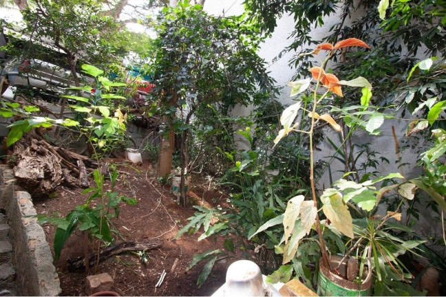Imagem Casa com 3 Quartos à Venda, 154 m² em Bela Vista - São Paulo