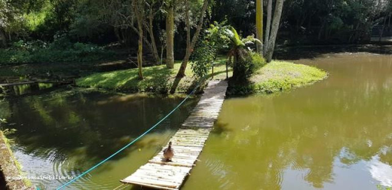 Imagem Chácara à Venda,  em Consultar - Ibiúna