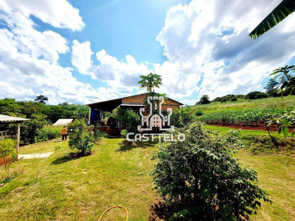 Imagem Chácara com 4 Quartos à Venda, 1.000 m² em Vila Rural Esperança - Londrina