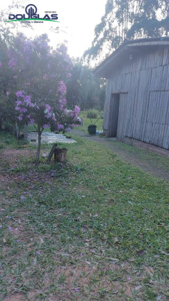 Imagem Casa com 3 Quartos à Venda, 5.000 m² em Viamão Imagem Casa com 3 Quartos à Venda, 5.000 m² em Viamão