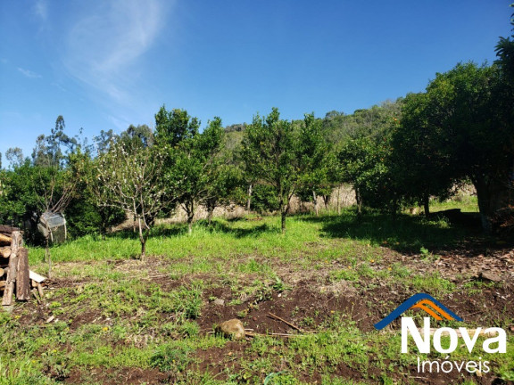 Imagem Imóvel à Venda, 657 m² em Linha Araripe - Nova Petrópolis