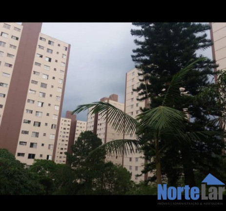 Imagem Apartamento com 2 Quartos à Venda, 55 m² em Jardim Peri - São Paulo