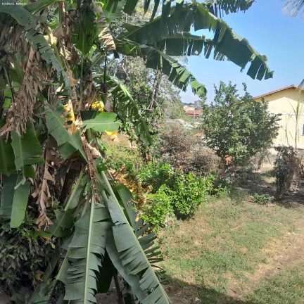 Imagem Casa com 4 Quartos à Venda, 450 m² em Campo Grande - Rio De Janeiro