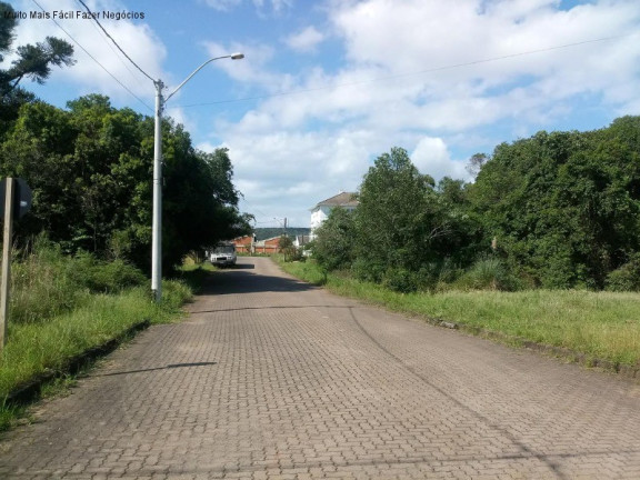 Imagem Terreno à Venda, 416 m² em Pousada Da Neve - Nova Petrópolis