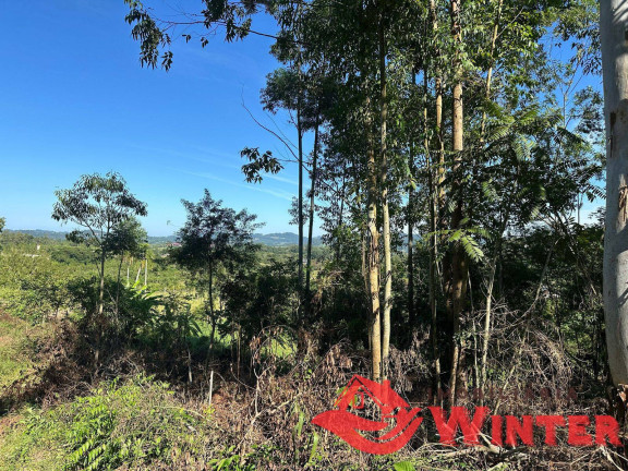 Imagem Chácara à Venda, 2.500 m² em Arroio Das Pedras - Bom Princípio Imagem Chácara à Venda, 2.500 m² em Arroio Das Pedras - Bom Princípio