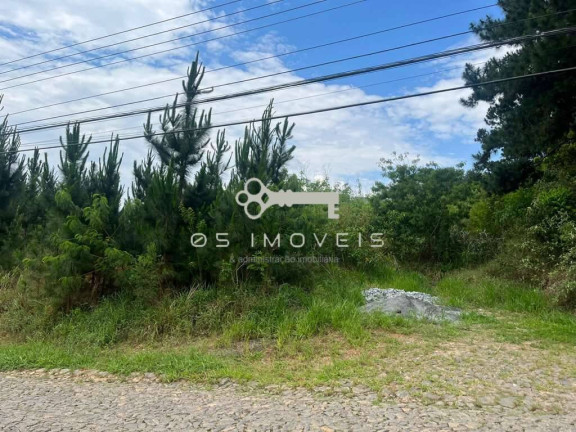 Imagem Terreno em Condomínio à Venda, 4 m² em Paisagem Renoir - Cotia