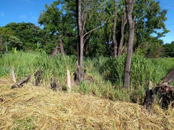 Imagem Terreno à Venda, 11.750 m² em Barroca Funda - Indaiatuba Imagem Terreno à Venda, 11.750 m² em Barroca Funda - Indaiatuba