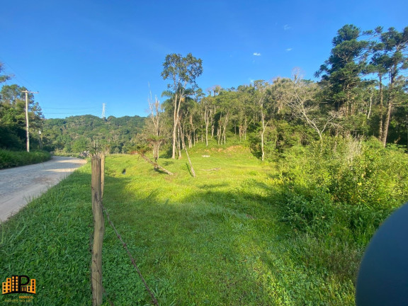 Imagem Terreno à Venda, 3.000 m² em Barrinha - São Lourenço Da Serra