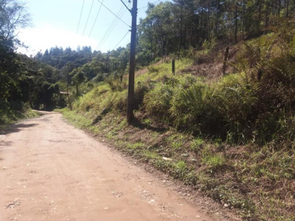 Imagem Terreno à Venda, 6.765 m² em Ouro Fino Paulista - Ribeirão Pires Imagem Terreno à Venda, 6.765 m² em Ouro Fino Paulista - Ribeirão Pires
