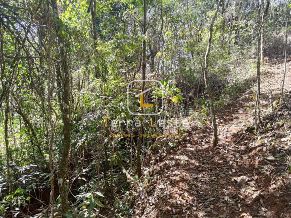 Imagem Terreno à Venda, 20.000 m² em Piedade Do Paraopeba - Brumadinho Imagem Terreno à Venda, 20.000 m² em Piedade Do Paraopeba - Brumadinho