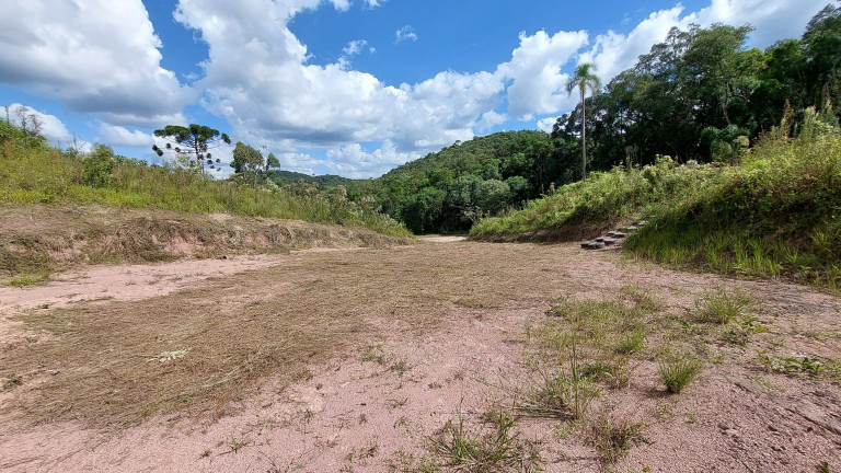 Imagem Chácara com 6 Quartos à Venda, 1 m² em Felpudo - Campo Largo