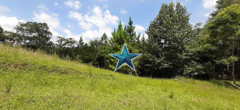 Imagem Imóvel à Venda, 74.000 m² em Fazenda Vitoria - São Lourenço Da Serra
