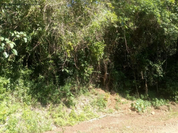 Imagem Terreno à Venda, 2 m² em Linha Temerária - Nova Petrópolis