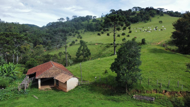Imagem Fazenda à Venda, 30.000 m² em Centro - Joanópolis Imagem Fazenda à Venda, 30.000 m² em Centro - Joanópolis