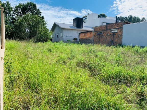 Imagem Terreno à Venda, 308 m² em Ambrósio - Garopaba Imagem Terreno à Venda, 308 m² em Ambrósio - Garopaba