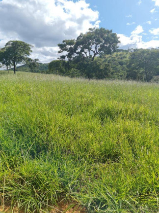 Imagem Chácara à Venda, em Santo André Imagem Chácara à Venda, em Santo André