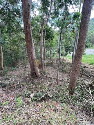 Imagem Terreno à Venda, 360 m² em Bosque Dos Eucalíptos - Atibaia Imagem Terreno à Venda, 360 m² em Bosque Dos Eucalíptos - Atibaia