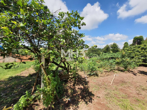 Imagem Imóvel com 5 Quartos à Venda, 158 m² em Chácaras De Recreio Cruzeiro Do Sul - Santa Bárbara D'oeste Imagem Imóvel com 5 Quartos à Venda, 158 m² em Chácaras De Recreio Cruzeiro Do Sul - Santa Bárbara D'oeste