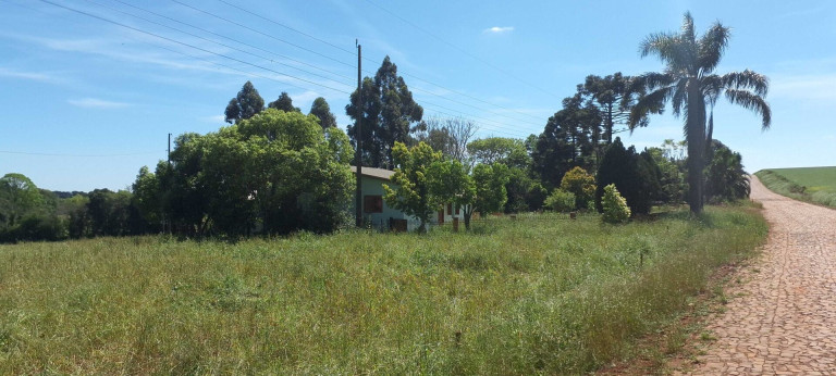 Imagem Imóvel à Venda, 70.000 m² em Centro - Selbach