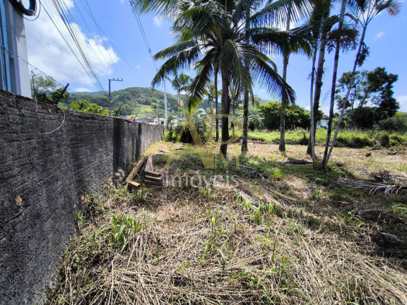 Imagem Terreno à Venda, 460 m² em Fundos - Biguaçu Imagem Terreno à Venda, 460 m² em Fundos - Biguaçu