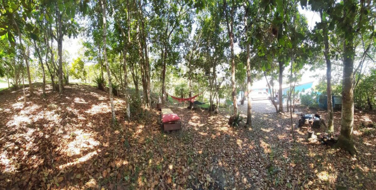 Imagem Chácara com 3 Quartos à Venda, 250 m² em Vargem Pequena - Florianópolis