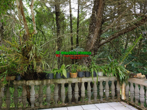Imagem Chácara à Venda, 7 m² em Centro - Paraibuna Imagem Chácara à Venda, 7 m² em Centro - Paraibuna