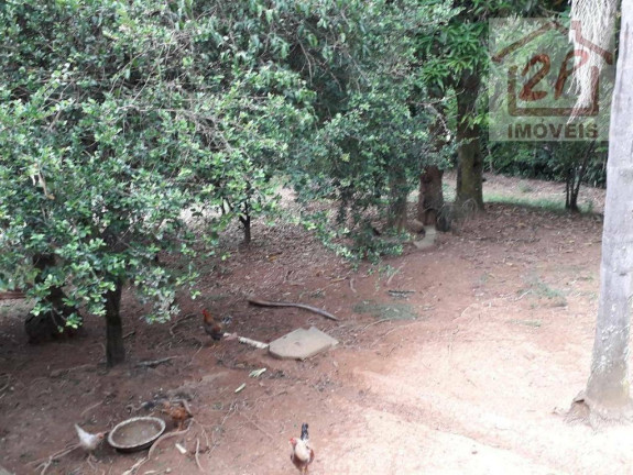 Imagem Chácara com 3 Quartos à Venda, 5.000 m² em Pau De Saia - São José Dos Campos Imagem Chácara com 3 Quartos à Venda, 5.000 m² em Pau De Saia - São José Dos Campos