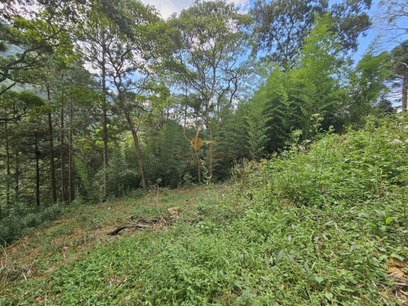 Imagem Terreno à Venda, 670 m² em Cascata Dos Amores - Teresópolis Imagem Terreno à Venda, 670 m² em Cascata Dos Amores - Teresópolis