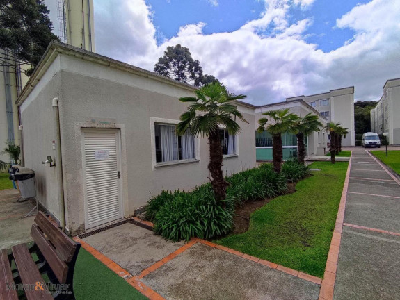 Imagem Apartamento com 2 Quartos à Venda, 45 m² em Iná - São José Dos Pinhais