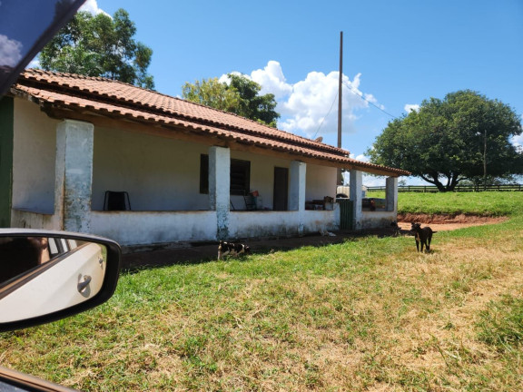 Imagem Fazenda à Venda, 800 m² em Zona Rural - Santo Antônio Do Aracanguá Imagem Fazenda à Venda, 800 m² em Zona Rural - Santo Antônio Do Aracanguá