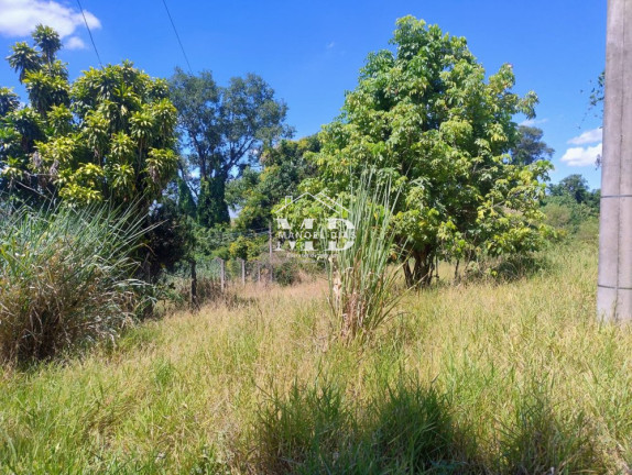Imagem Imóvel à Venda, 22.000 m² em área Rural De Artur Nogueira - Artur Nogueira Imagem Imóvel à Venda, 22.000 m² em área Rural De Artur Nogueira - Artur Nogueira
