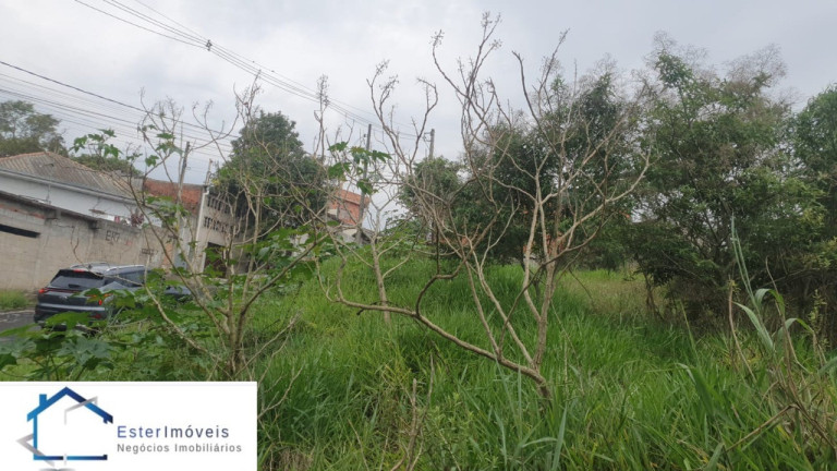 Imagem Terreno para Alugar ou Temporada, 291 m² em Vila Constança (botujuru) - Campo Limpo Paulista Imagem Terreno para Alugar ou Temporada, 291 m² em Vila Constança (botujuru) - Campo Limpo Paulista