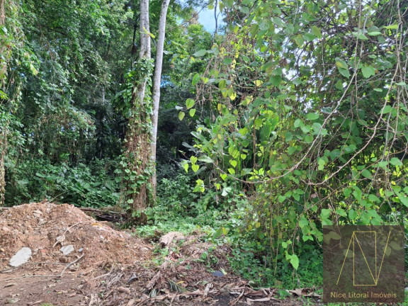 Imagem Terreno à Venda, 384 m² em Mar Verde - Caraguatatuba Imagem Terreno à Venda, 384 m² em Mar Verde - Caraguatatuba