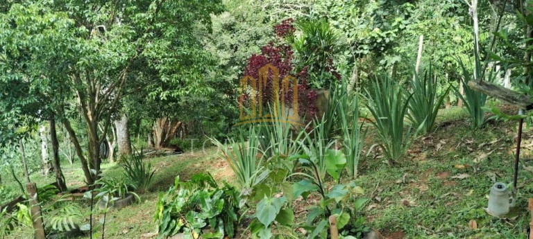 Imagem Chácara com 2 Quartos à Venda, 5.700 m² em Jardim Colônia - Jacareí