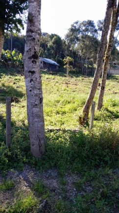 Imagem Terreno à Venda, em Planta Laranjeiras - Piraquara Imagem Terreno à Venda, em Planta Laranjeiras - Piraquara