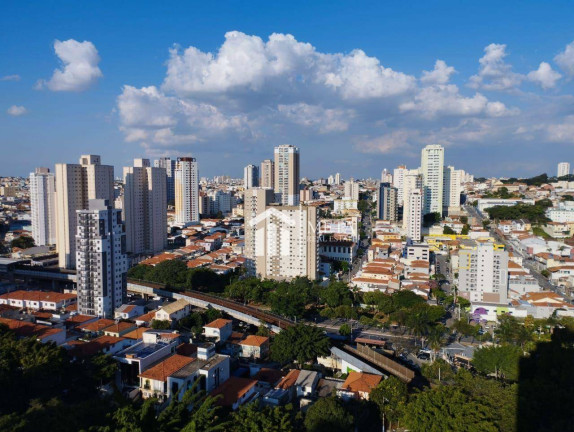 Imagem Imóvel com 3 Quartos à Venda, 250 m² em Vila Paulicéia - São Paulo Imagem Imóvel com 3 Quartos à Venda, 250 m² em Vila Paulicéia - São Paulo