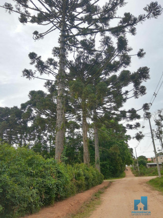 Imagem Imóvel com 2 Quartos à Venda, 100 m² em Guaragi - Ponta Grossa