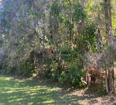 Imagem Terreno à Venda, 1.000 m² em Antes Do Centro - Ibiúna
