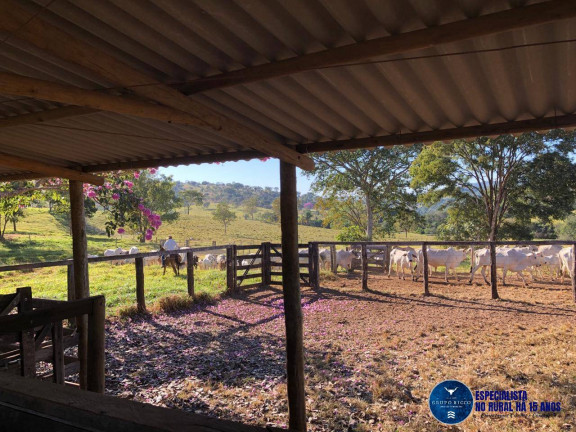 Imagem Fazenda à Venda, 125 m² em Zona Rural - Cocalzinho De Goiás Imagem Fazenda à Venda, 125 m² em Zona Rural - Cocalzinho De Goiás