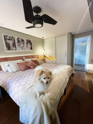 Imagem Apartamento com 3 Quartos à Venda, 110 m² em Moema - São Paulo Imagem Apartamento com 3 Quartos à Venda, 110 m² em Moema - São Paulo