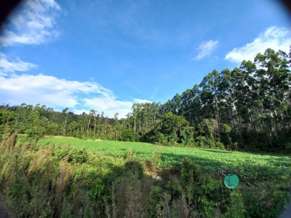 Imagem Imóvel à Venda, 170.000 m² em Zona Rural - Alfredo Wagner Imagem Imóvel à Venda, 170.000 m² em Zona Rural - Alfredo Wagner