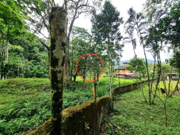 Imagem Casa com 3 Quartos à Venda, 1.000 m² em Boiçucanga - São Sebastião