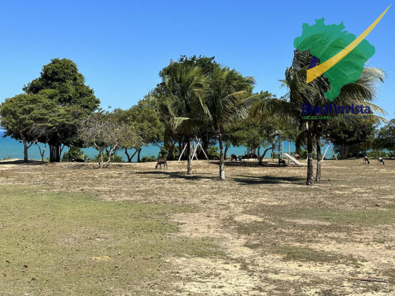 Imagem Casa com 6 Quartos à Venda, 3 m² em Trancoso - Porto Seguro Imagem Casa com 6 Quartos à Venda, 3 m² em Trancoso - Porto Seguro