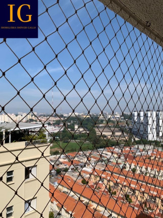 Imagem Apartamento com 2 Quartos à Venda, 65 m² em Jardim São Caetano - São Caetano Do Sul Imagem Apartamento com 2 Quartos à Venda, 65 m² em Jardim São Caetano - São Caetano Do Sul