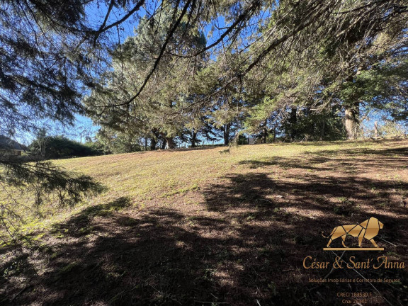Imagem Terreno à Venda, 1.166 m² em Alto Da Vila Inglesa - Campos Do Jordão Imagem Terreno à Venda, 1.166 m² em Alto Da Vila Inglesa - Campos Do Jordão