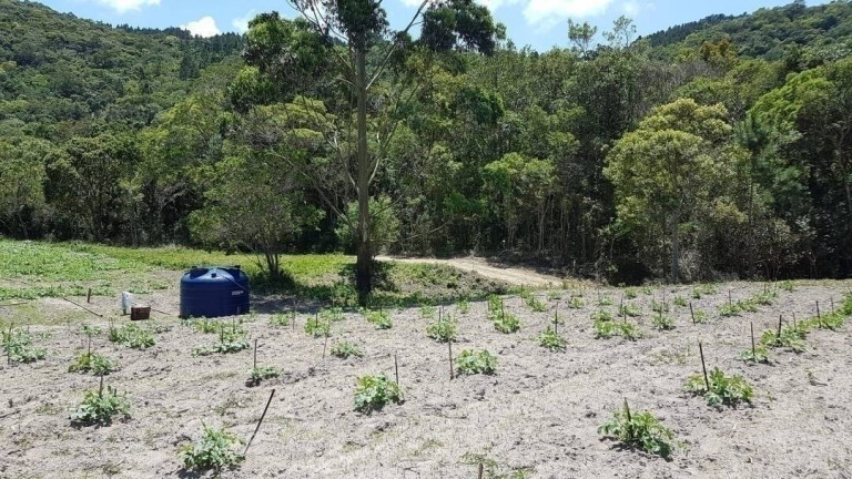 Imagem Fazenda à Venda, 80 m² em São João Do Rio Vermelho - Florianópolis Imagem Fazenda à Venda, 80 m² em São João Do Rio Vermelho - Florianópolis