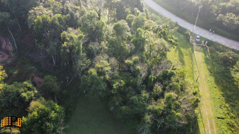 Imagem Terreno à Venda, 3.000 m² em Barrinha - São Lourenço Da Serra